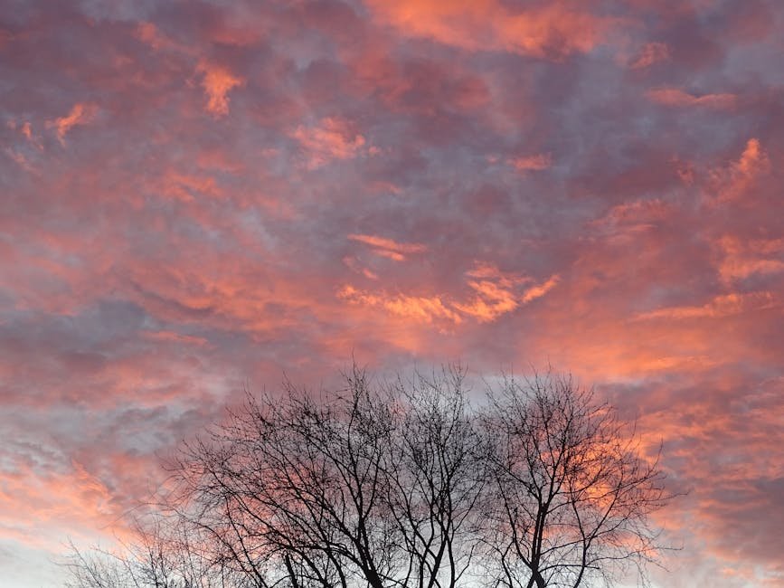 Sunset Color Palette: The Complete Guide for Fashion and Design in 2026