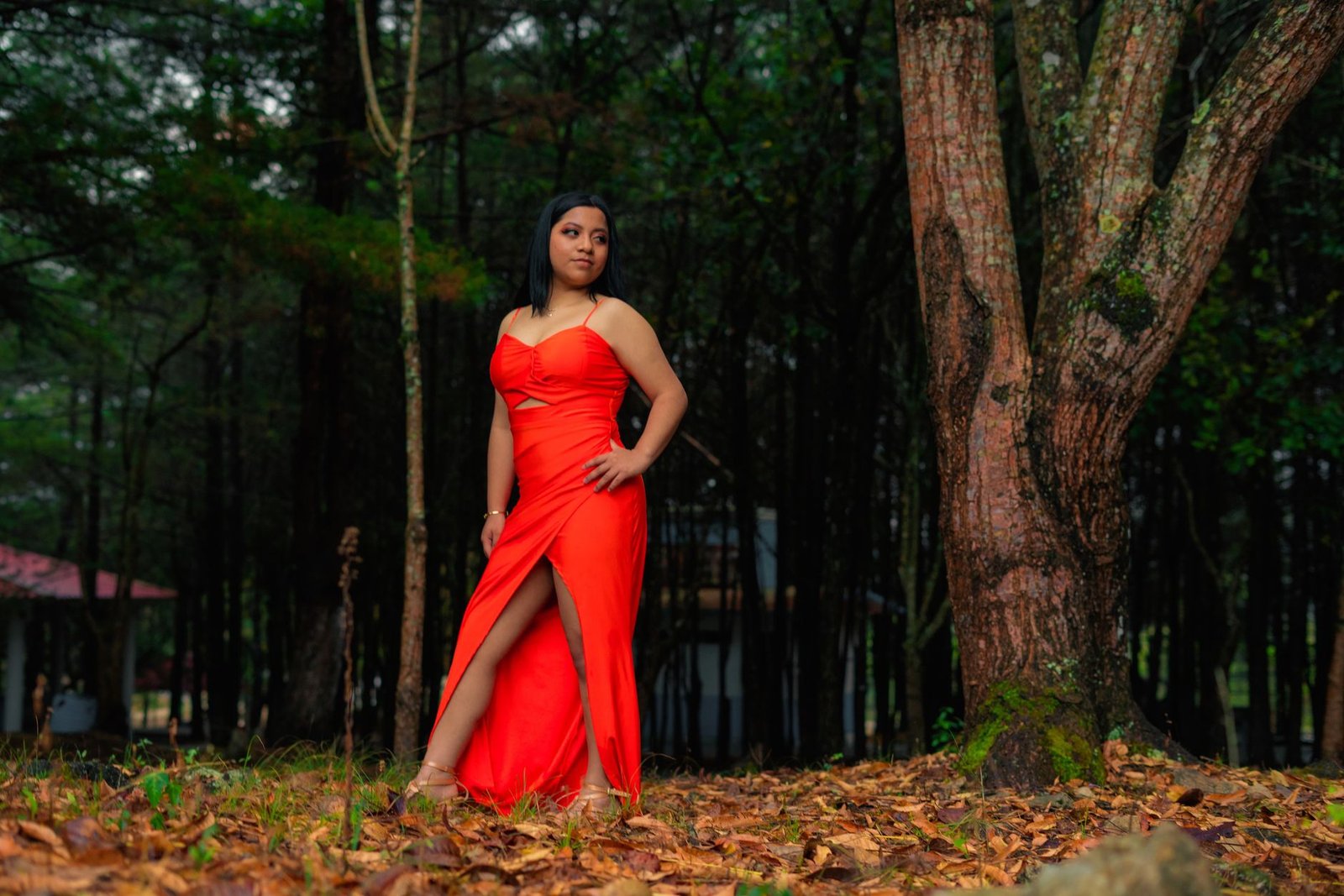 Fashionable woman in a vibrant red gown poses confidently amidst lush forest scenery.