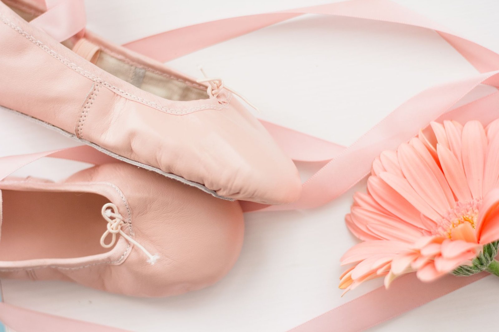 Ballet flat shoes ribbon delicate feminine fashion