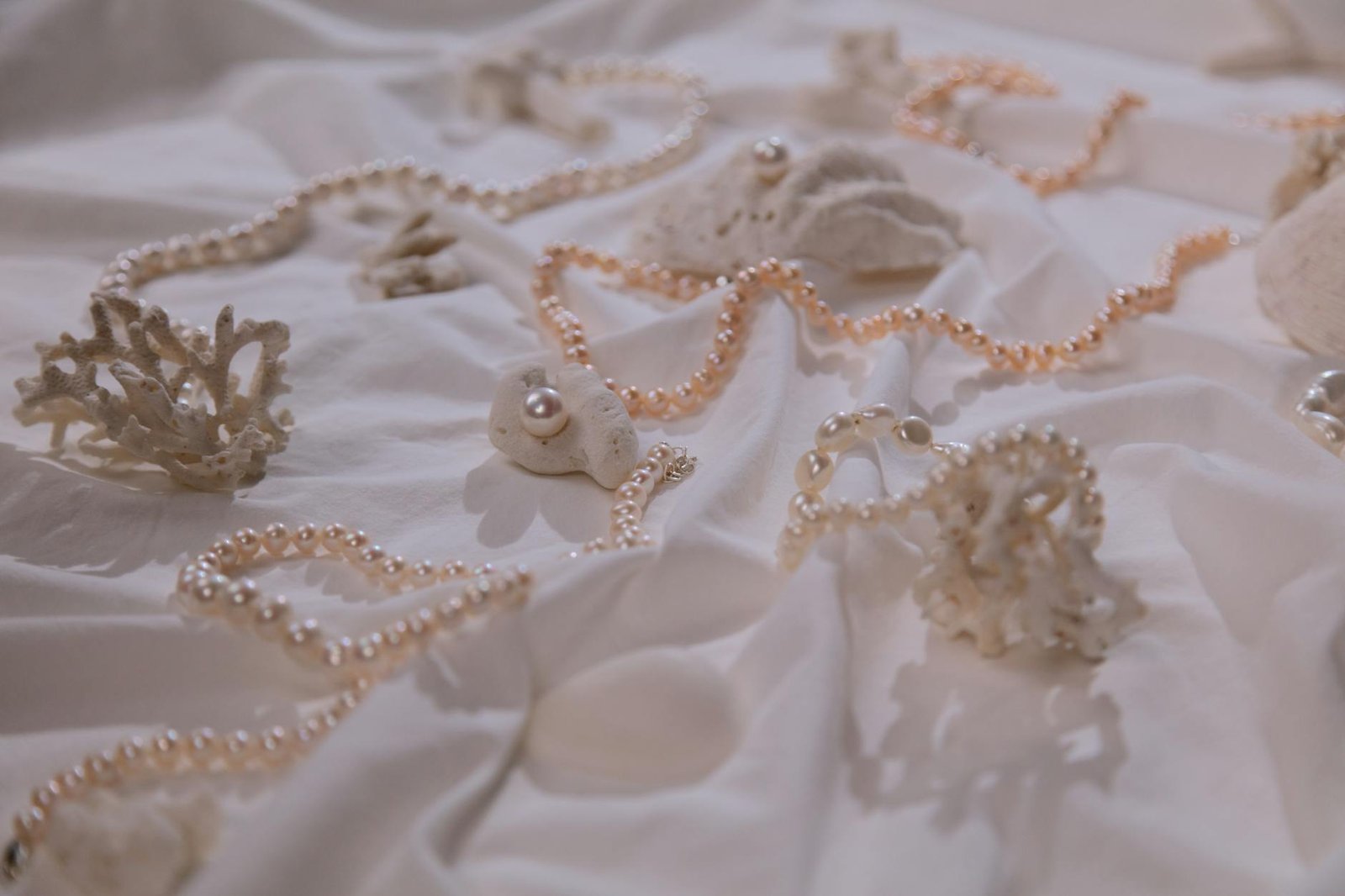 Shell jewellery beach ocean accessory style